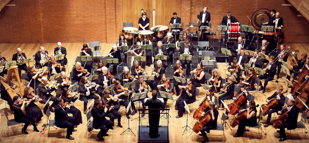 Wolsey Orchestra banner