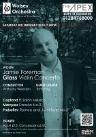 poster for concert on Saturday 8 Feb 2014