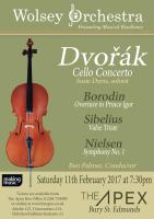 poster for concert on Saturday 11 Feb 2017